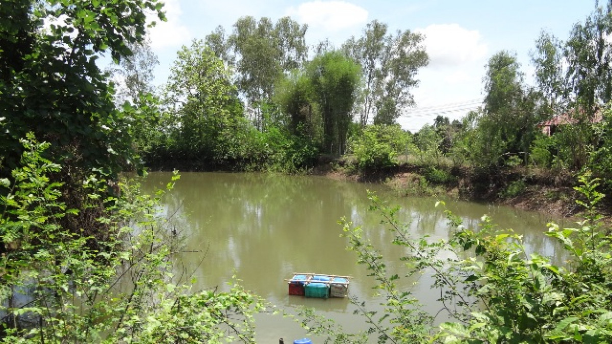 ที่ดินเปล่า ลำพูน บ้านธิ บ้านธิ 1886000