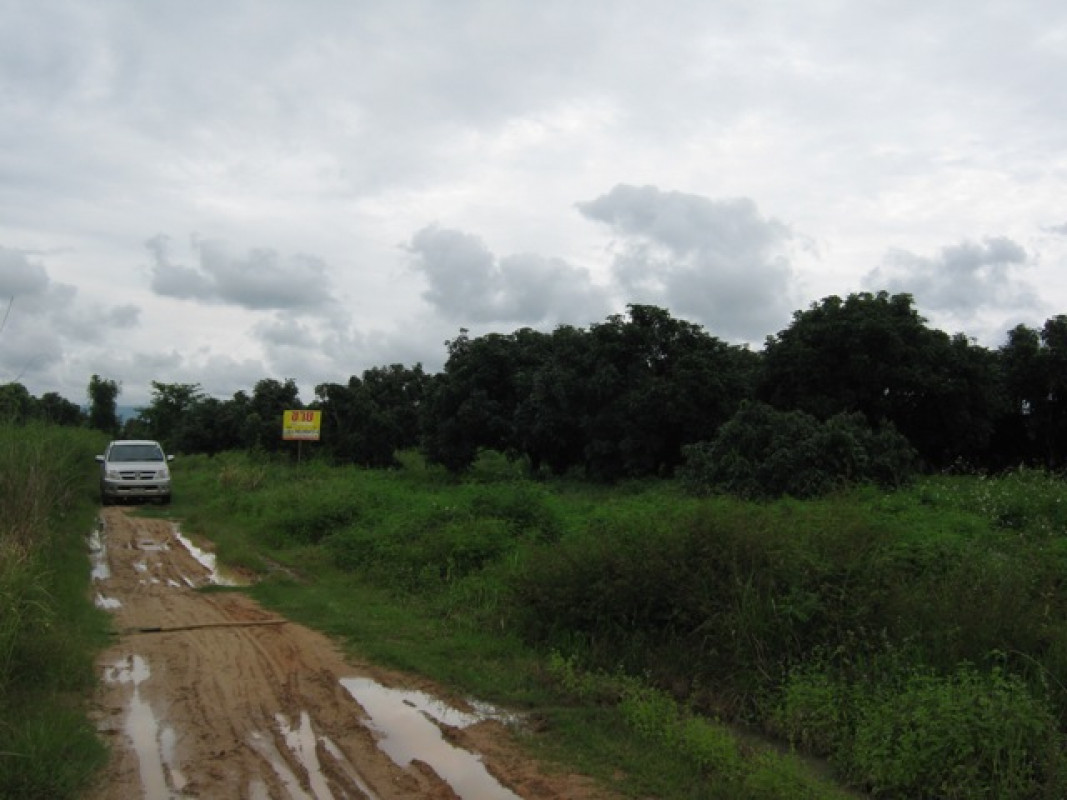 Residential land/lot Chiang Mai Fang Wiang 9192000