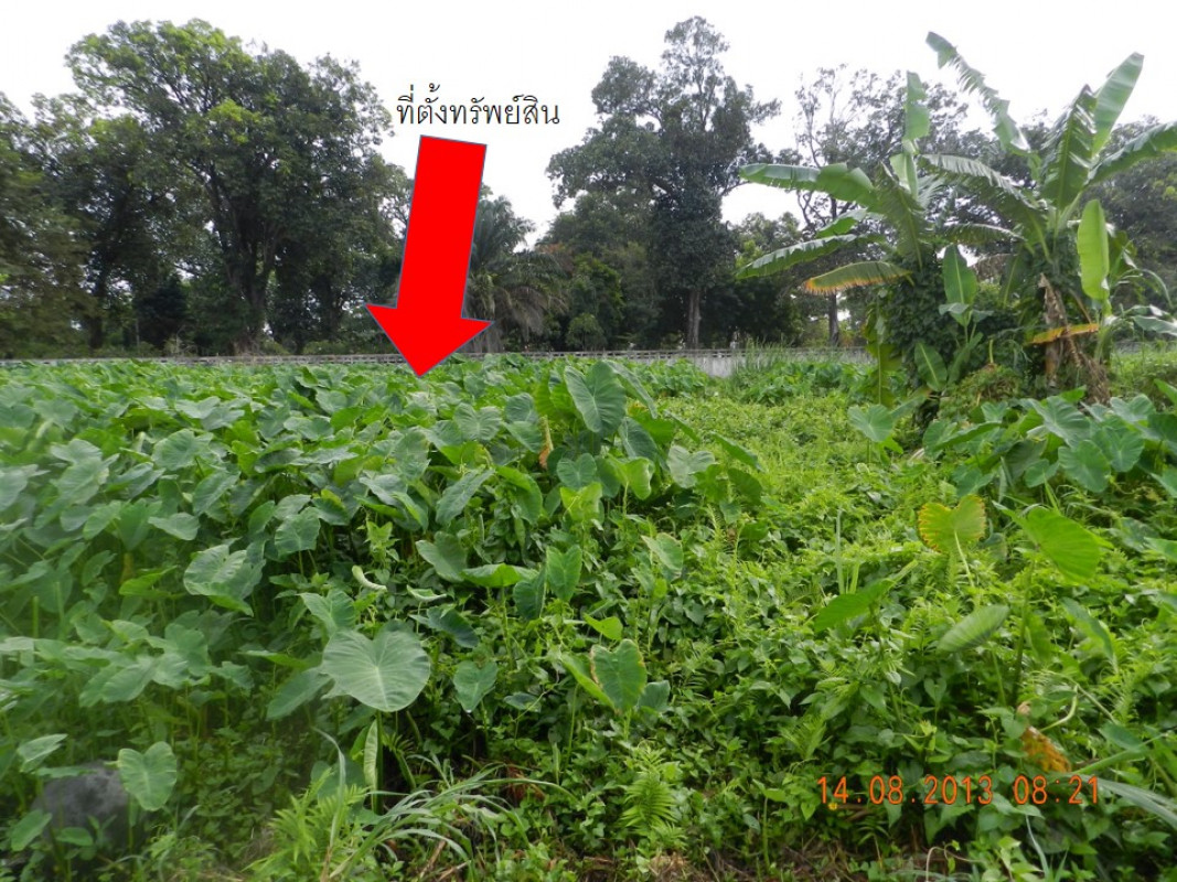 ที่ดินเปล่า สงขลา เมืองสงขลา บ่อยาง 461000