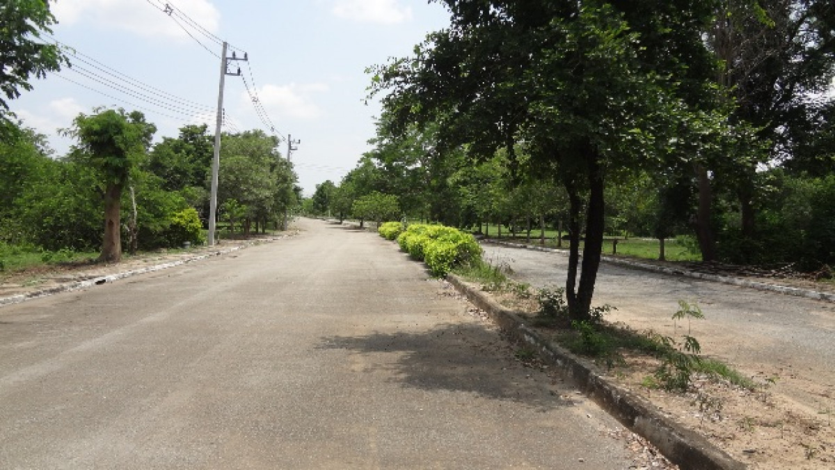 Residential land/lot Lamphun Wiang Nong Long Nong Long 1040000