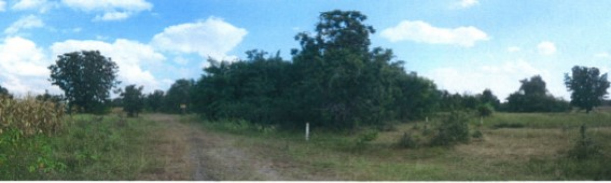 ที่ดินเปล่า นครราชสีมา ปักธงชัย ตะคุ 120000