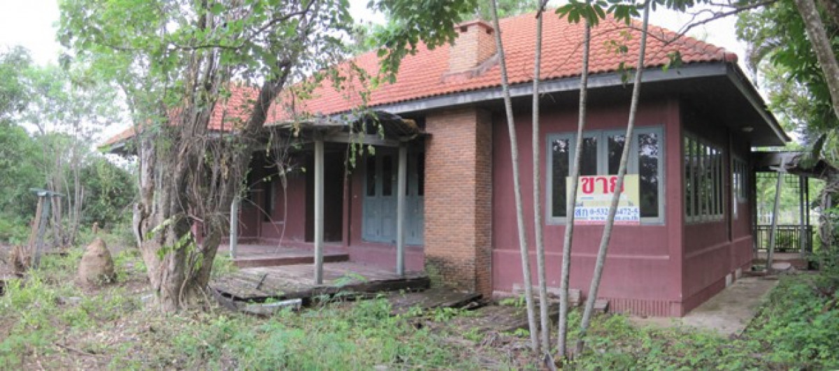 บ้านเดี่ยว บ้านสวนเชิงดอยรีสอร์ท ลำพูน เมืองลำพูน มะเขือแจ้ 1598000