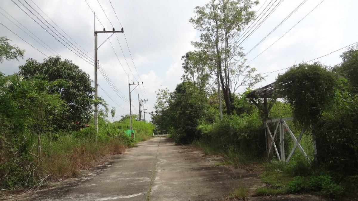 บ้านเดี่ยว บ้านสวนเชิงดอยรีสอร์ท ลำพูน เมืองลำพูน มะเขือแจ้ 1598000