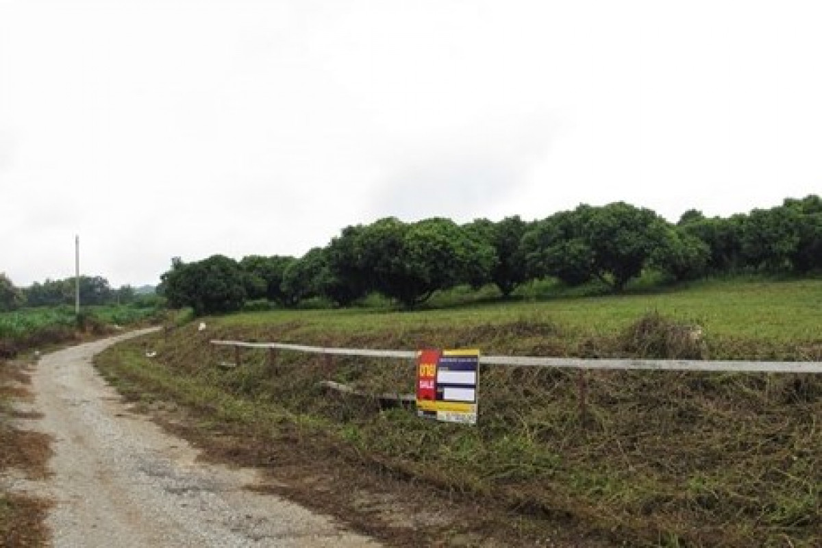 Residential land/lot Chiang Rai Mae Suai Mae Saruai 672000