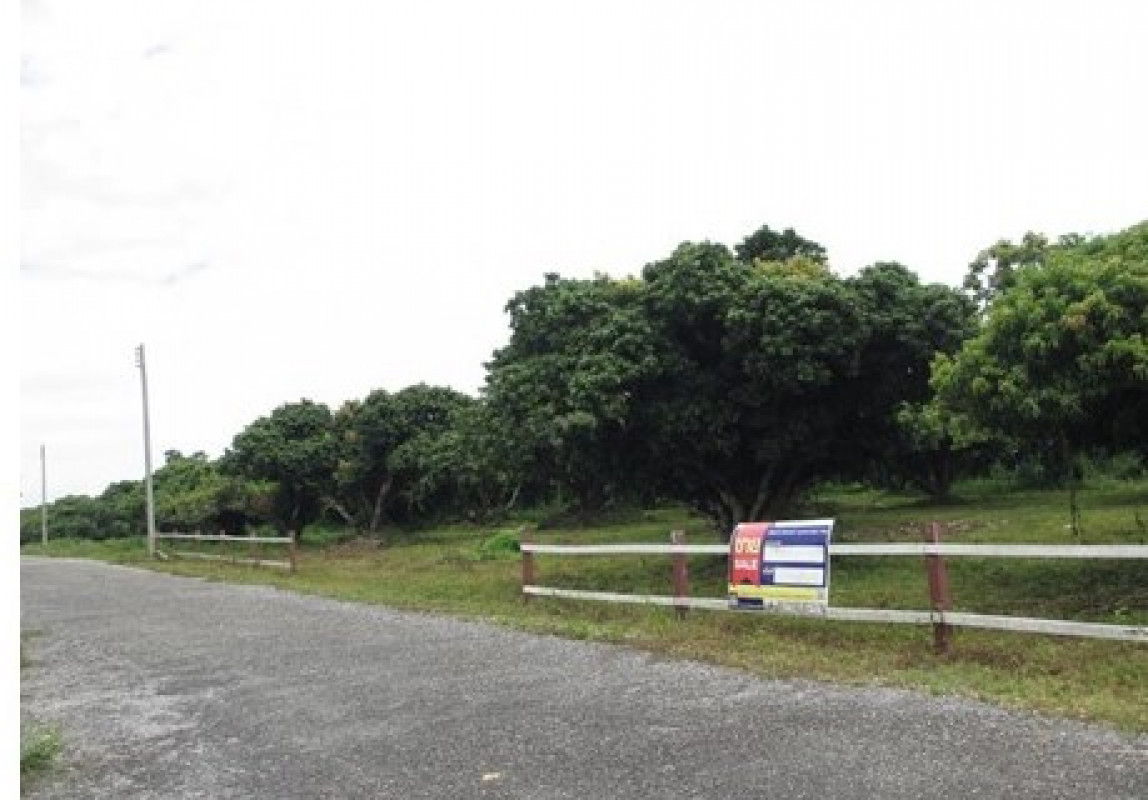 Residential land/lot Chiang Rai Mae Suai Mae Saruai 509000