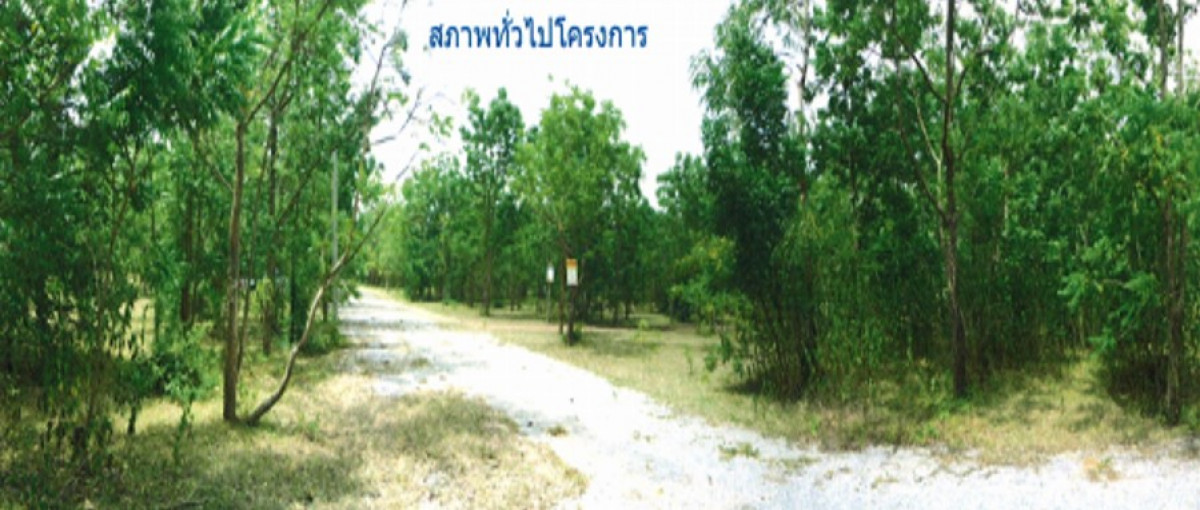 ที่ดินเปล่า นครราชสีมา ปักธงชัย ธงชัยเหนือ 140000