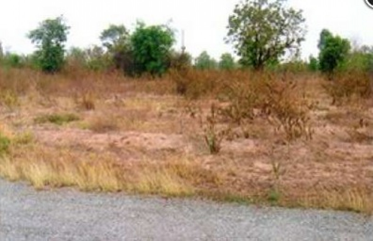 ที่ดินเปล่า นครราชสีมา ปักธงชัย ตะคุ 105000