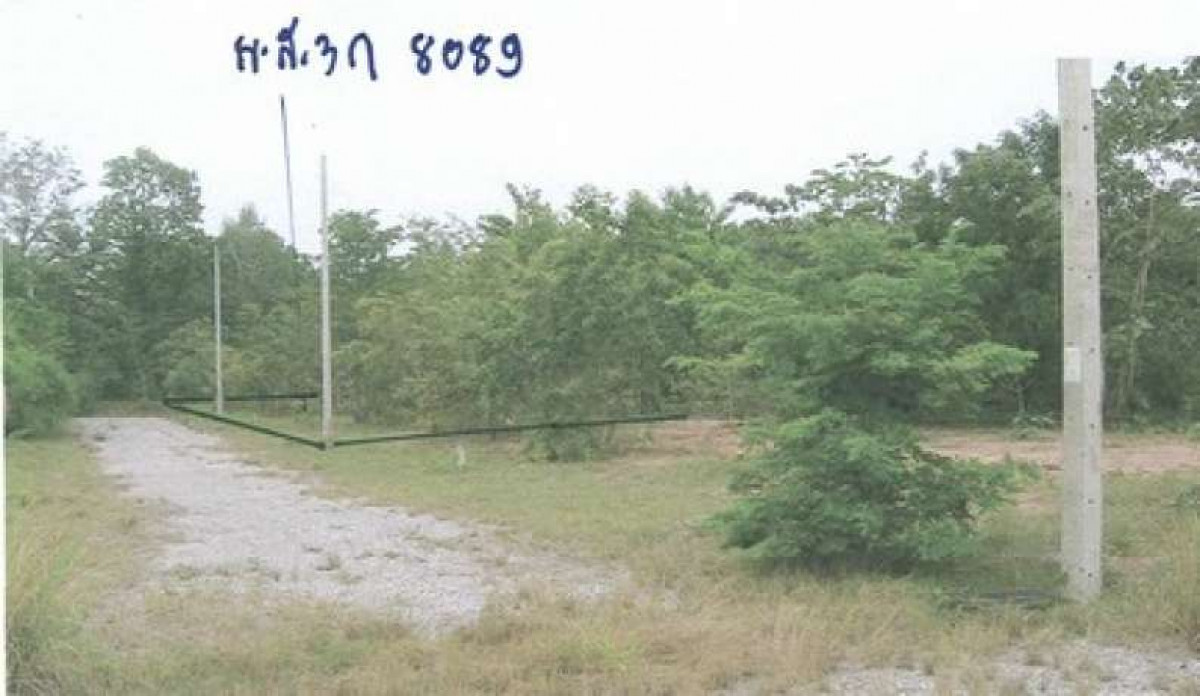 ที่ดินเปล่า นครราชสีมา ปักธงชัย ตะคุ 135000