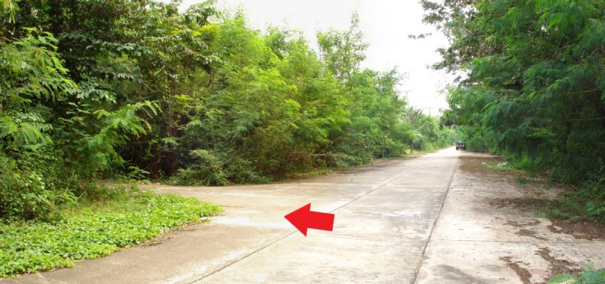 ที่ดินเปล่า นครปฐม เมืองนครปฐม ถนนขาด 3029000