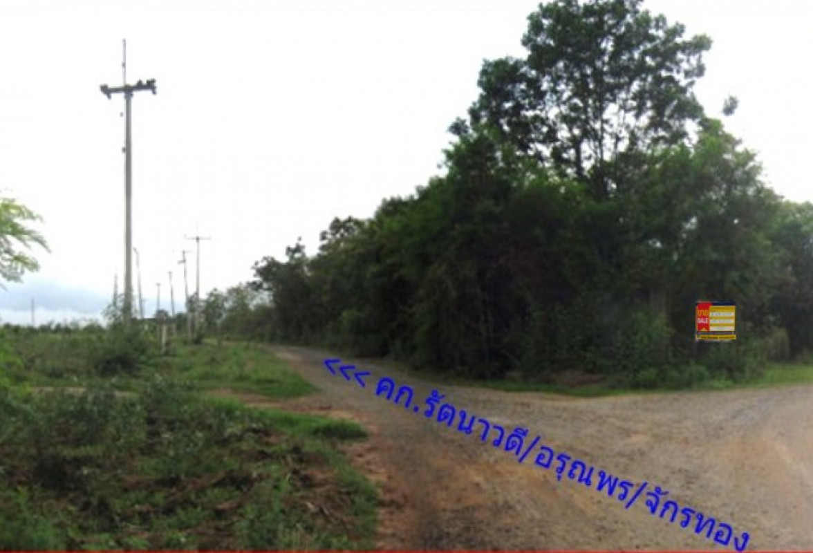 Residential land/lot Nakhon Ratchasima Pak Thong Chai Thong Chai Nuea 105000