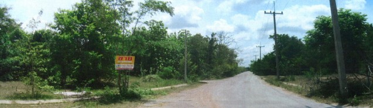 ที่ดินเปล่า ผืนทองแลนด์ 5 นครราชสีมา ปักธงชัย ตะคุ 84000