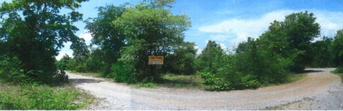 ที่ดินเปล่า ผืนทองแลนด์ 5 นครราชสีมา ปักธงชัย ตะคุ 84000