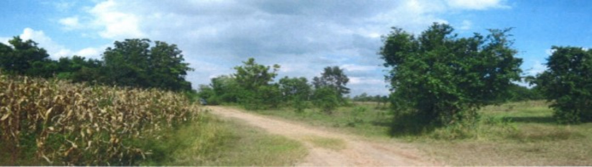 ที่ดินเปล่า กรีนการ์เด้นท์ นครราชสีมา ปักธงชัย ตะคุ 121000