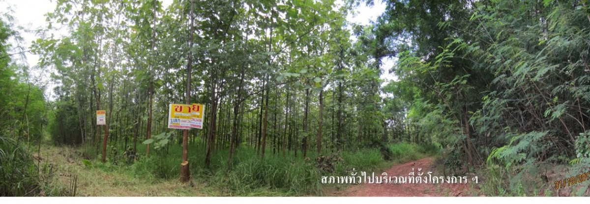 ที่ดินเปล่า ชัยภูมิ ภูเขียว บ้านแก้ง 436000