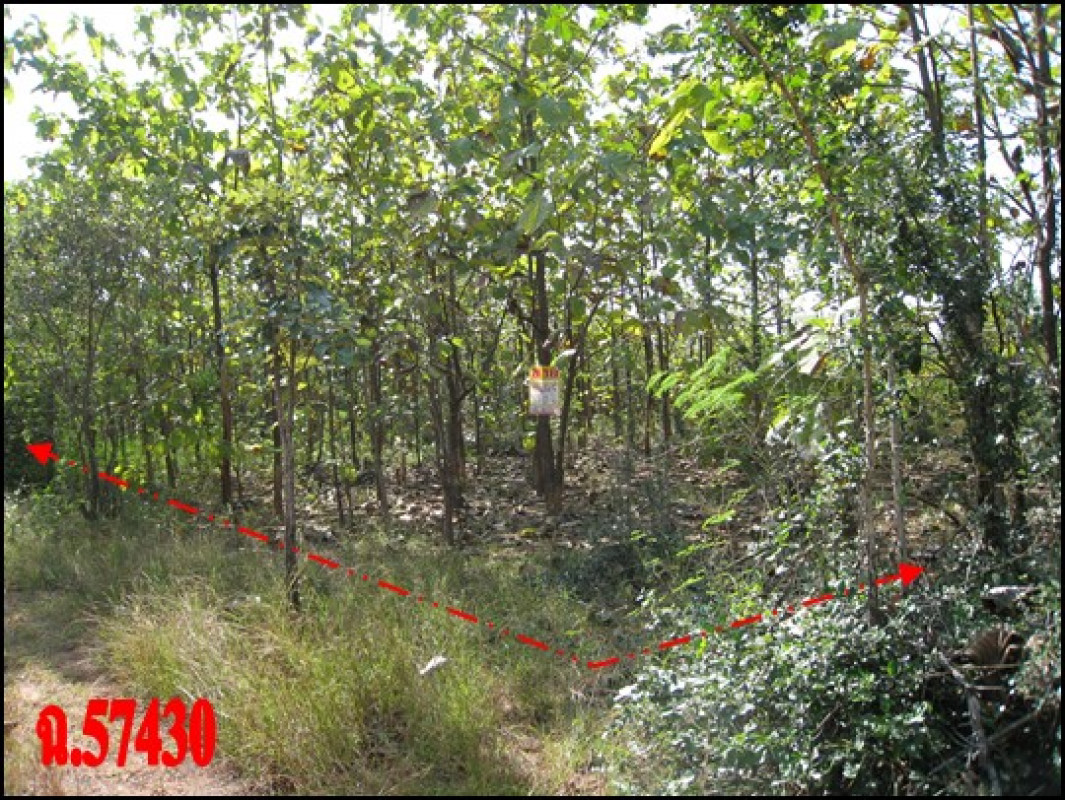 ที่ดินเปล่า ชัยภูมิ ภูเขียว บ้านแก้ง 436000