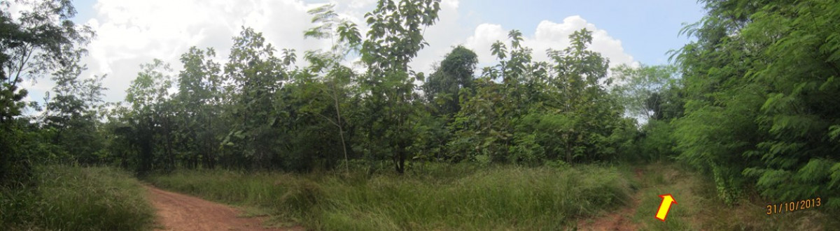 Residential land/lot Chaiyaphum Phu Khiao Ban Kaeng 881000