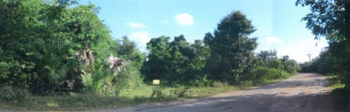 ที่ดินเปล่า นครราชสีมา ปักธงชัย ตะคุ 121000