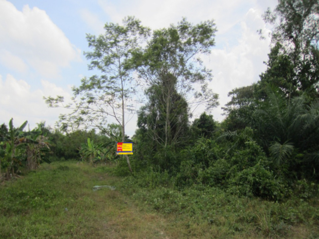 Residential land/lot Nakhon Si Thammarat Mueang Nakhon Si Thammarat Na Sai 214000