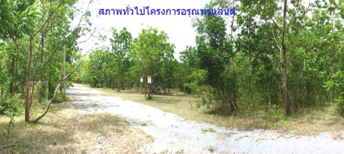 Residential land/lot Nakhon Ratchasima Pak Thong Chai Thong Chai Nuea 86000