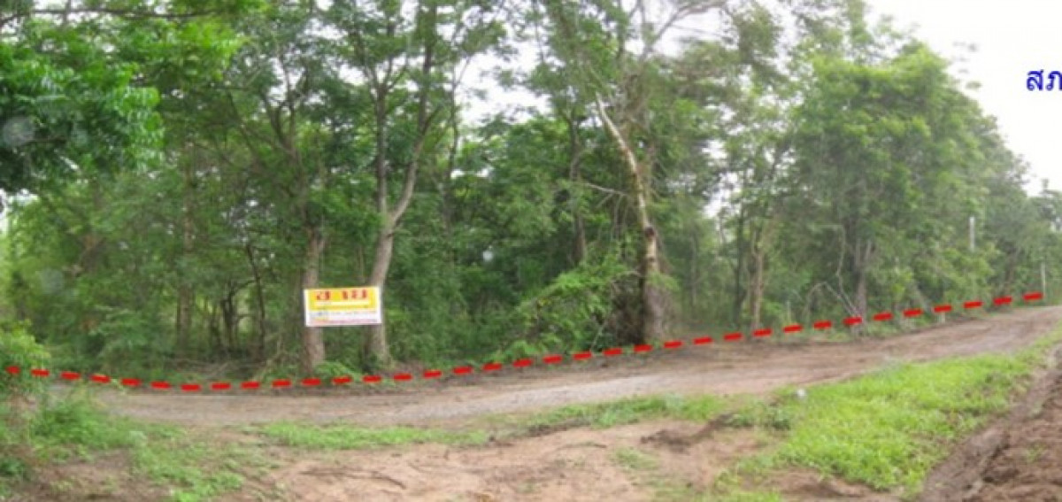 Residential land/lot Nakhon Ratchasima Pak Thong Chai Thong Chai Nuea 86000