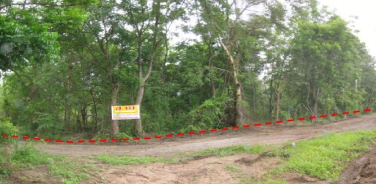 Residential land/lot Nakhon Ratchasima Pak Thong Chai Thong Chai Nuea 86000
