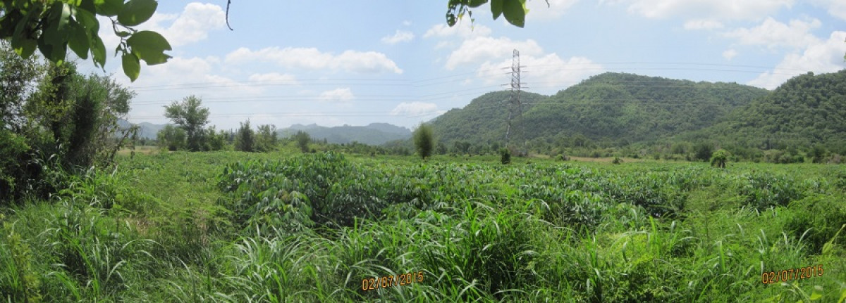 ที่ดินเปล่า สระบุรี แก่งคอย ทับกวาง 25123000