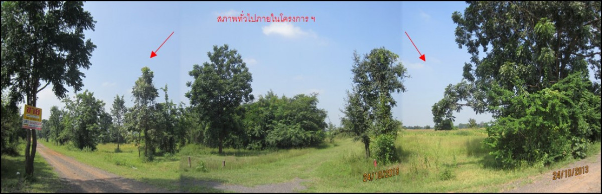 ที่ดินเปล่า นครราชสีมา ปักธงชัย ตะคุ 121000