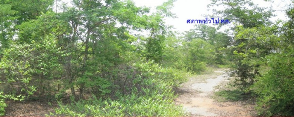 ที่ดินเปล่า นครราชสีมา ปักธงชัย ตะคุ 84000