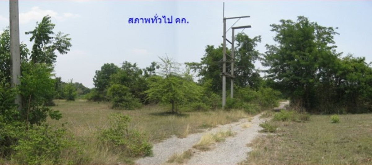 ที่ดินเปล่า นครราชสีมา ปักธงชัย ตะคุ 84000