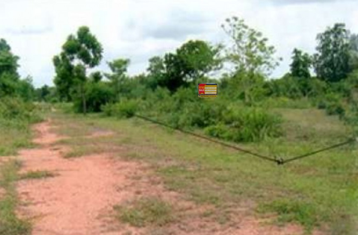 ที่ดินเปล่า โครงการกรีนการ์เด้นท์ นครราชสีมา ปักธงชัย ตะคุ 121000