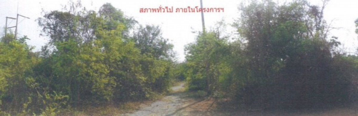 ที่ดินเปล่า กรีนการ์เด้นท์ นครราชสีมา ปักธงชัย ตะคุ 121000
