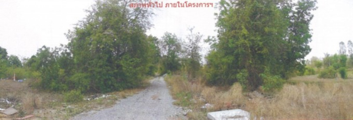 ที่ดินเปล่า กรีนการ์เด้นท์ นครราชสีมา ปักธงชัย ตะคุ 121000