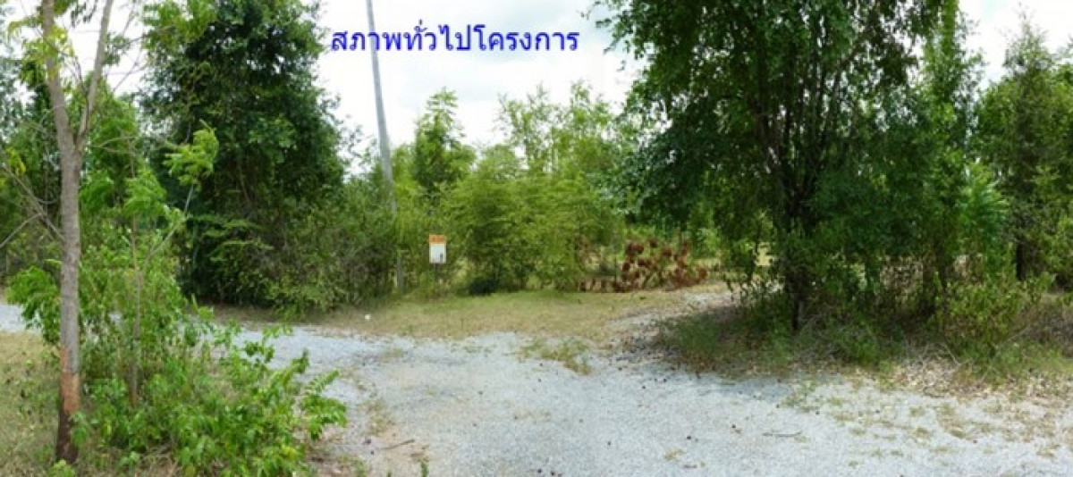 ที่ดินเปล่า จักรทองแลนด์ นครราชสีมา ปักธงชัย ธงชัยเหนือ 105000