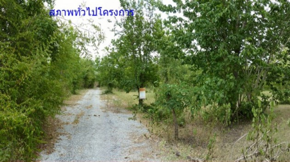 ที่ดินเปล่า จักรทองแลนด์ นครราชสีมา ปักธงชัย ธงชัยเหนือ 105000