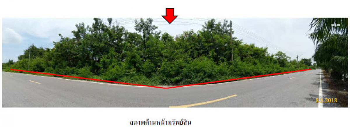 ที่ดินเปล่า ปทุมธานี หนองเสือ บึงชำอ้อ 0