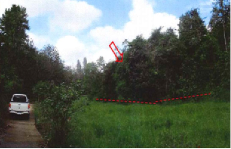 Residential land/lot Narathiwat Mueang Narathiwat Manang Tayo 1054000