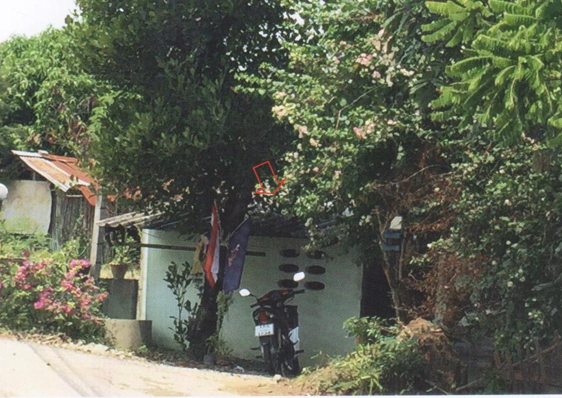 บ้านเดี่ยว ราชบุรี บ้านโป่ง หนองอ้อ 0