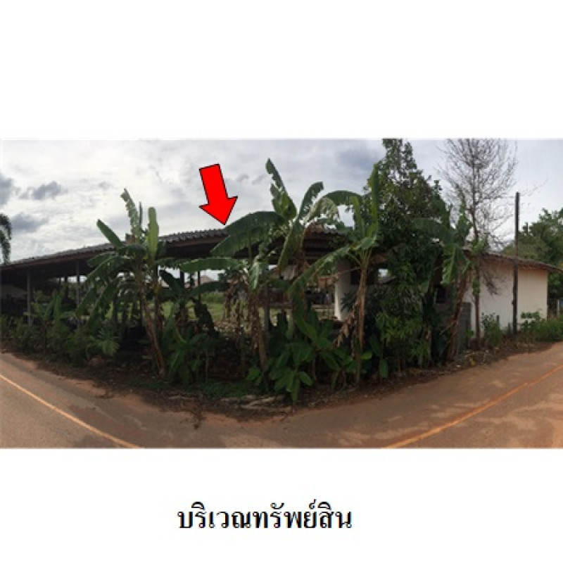 โรงงาน/โกดัง สุราษฎร์ธานี เมืองสุราษฎร์ธานี มะขามเตี้ย 11580500