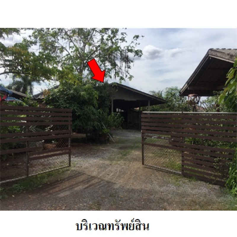 โรงงาน/โกดัง สุราษฎร์ธานี เมืองสุราษฎร์ธานี มะขามเตี้ย 11580500