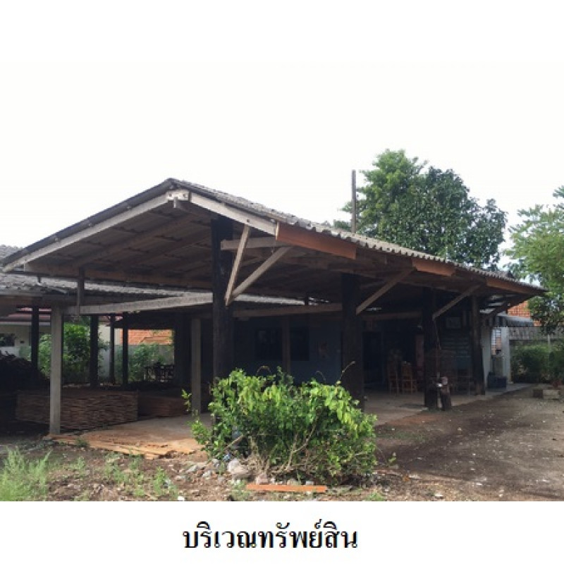 โรงงาน/โกดัง สุราษฎร์ธานี เมืองสุราษฎร์ธานี มะขามเตี้ย 11580500