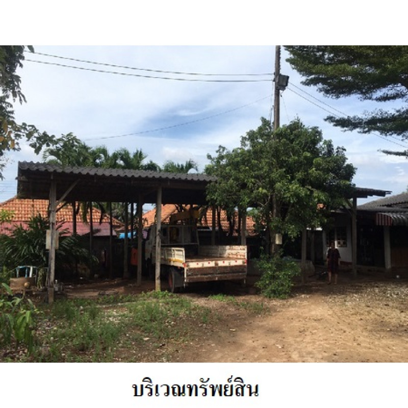 โรงงาน/โกดัง สุราษฎร์ธานี เมืองสุราษฎร์ธานี มะขามเตี้ย 11580500