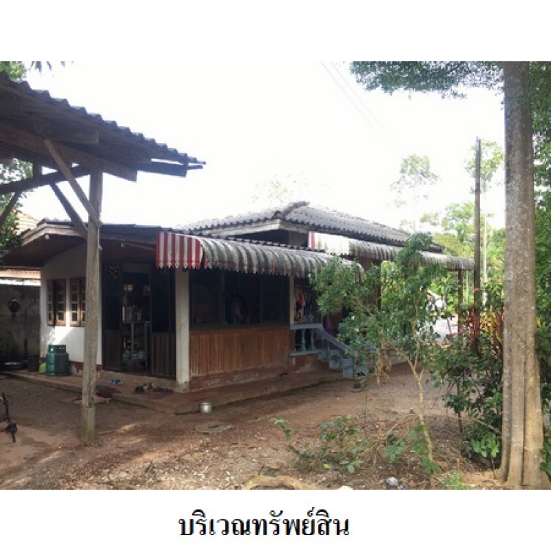 โรงงาน/โกดัง สุราษฎร์ธานี เมืองสุราษฎร์ธานี มะขามเตี้ย 11580500