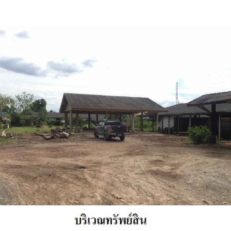 โรงงาน/โกดัง สุราษฎร์ธานี เมืองสุราษฎร์ธานี มะขามเตี้ย 11580500