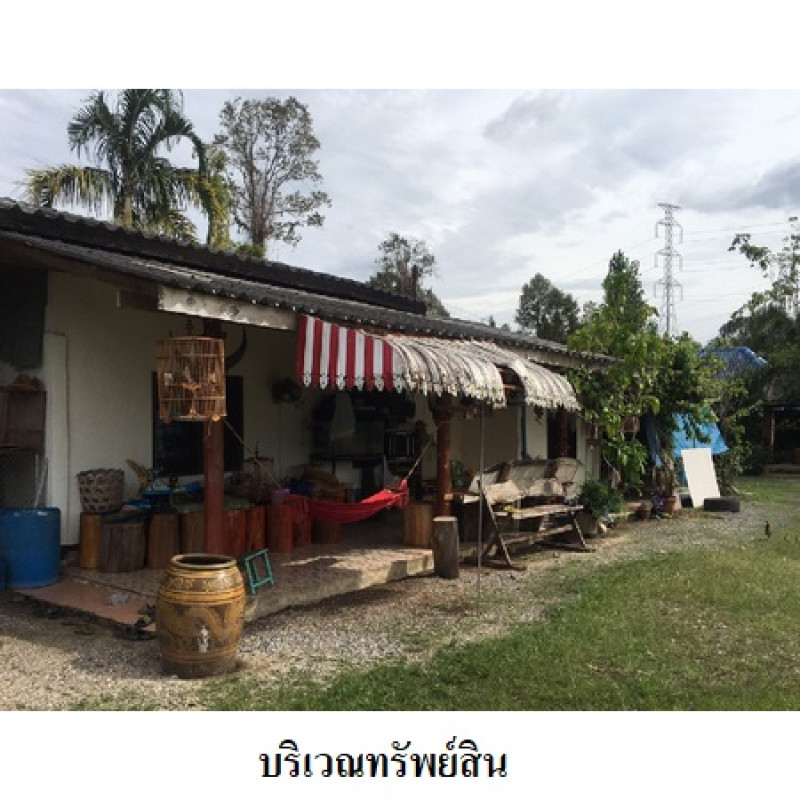 โรงงาน/โกดัง สุราษฎร์ธานี เมืองสุราษฎร์ธานี มะขามเตี้ย 11580500