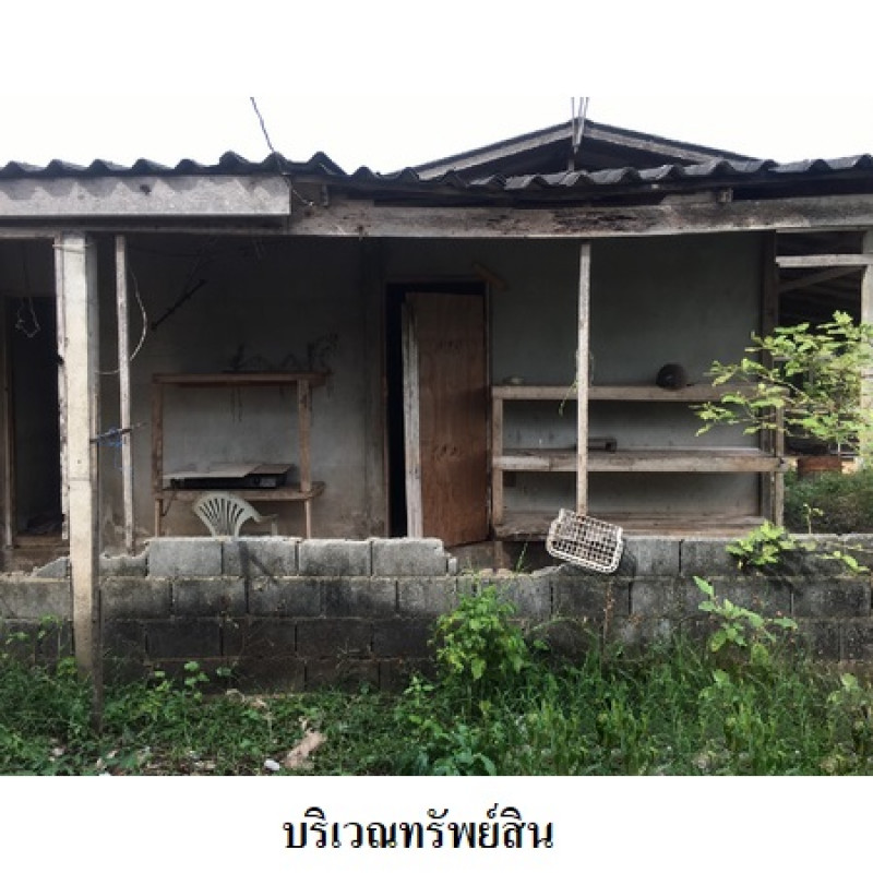 โรงงาน/โกดัง สุราษฎร์ธานี เมืองสุราษฎร์ธานี มะขามเตี้ย 11580500