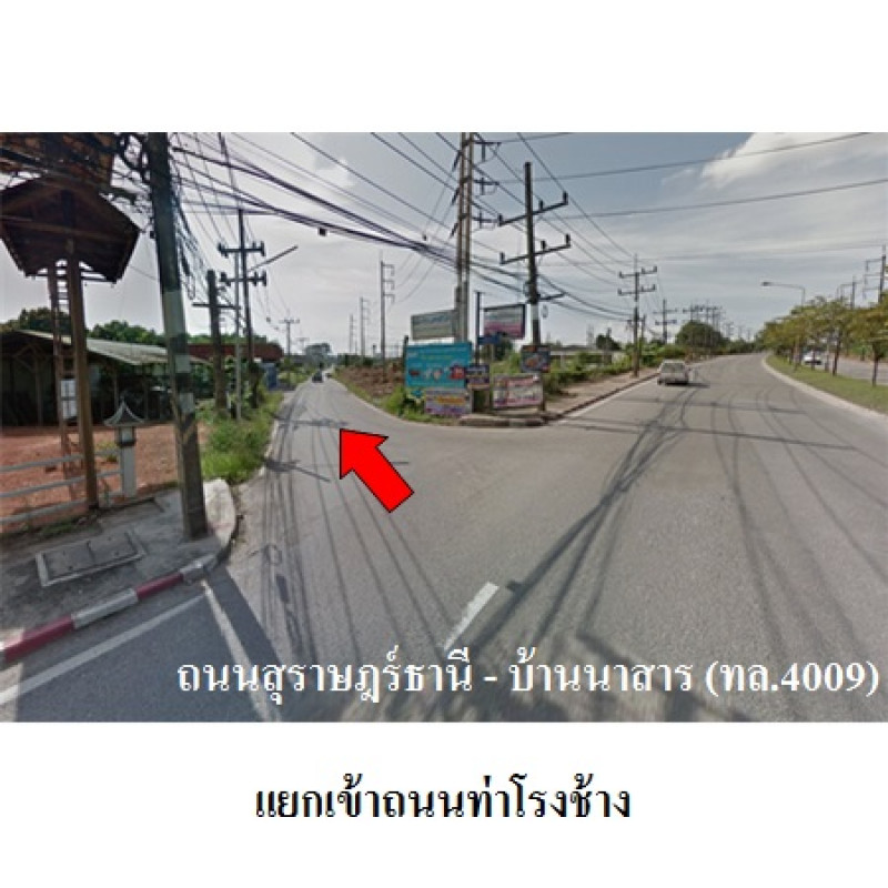 โรงงาน/โกดัง สุราษฎร์ธานี เมืองสุราษฎร์ธานี มะขามเตี้ย 11580500