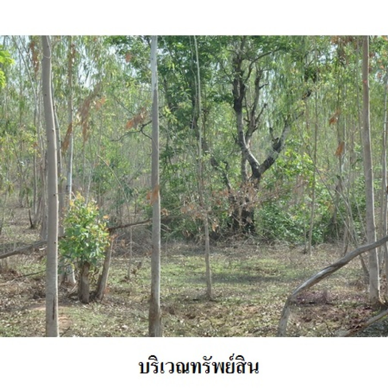 ที่ดินเปล่า ชัยภูมิ เมืองชัยภูมิ รอบเมือง 11106900