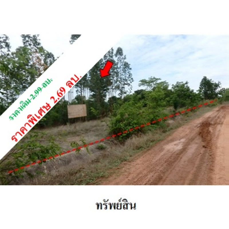 ที่ดินเปล่า ชัยภูมิ เมืองชัยภูมิ โคกสูง 2976000