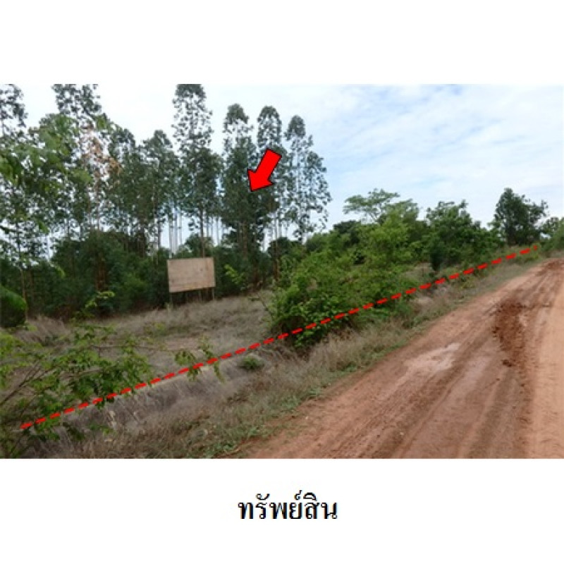 ที่ดินเปล่า ชัยภูมิ เมืองชัยภูมิ โคกสูง 2976000