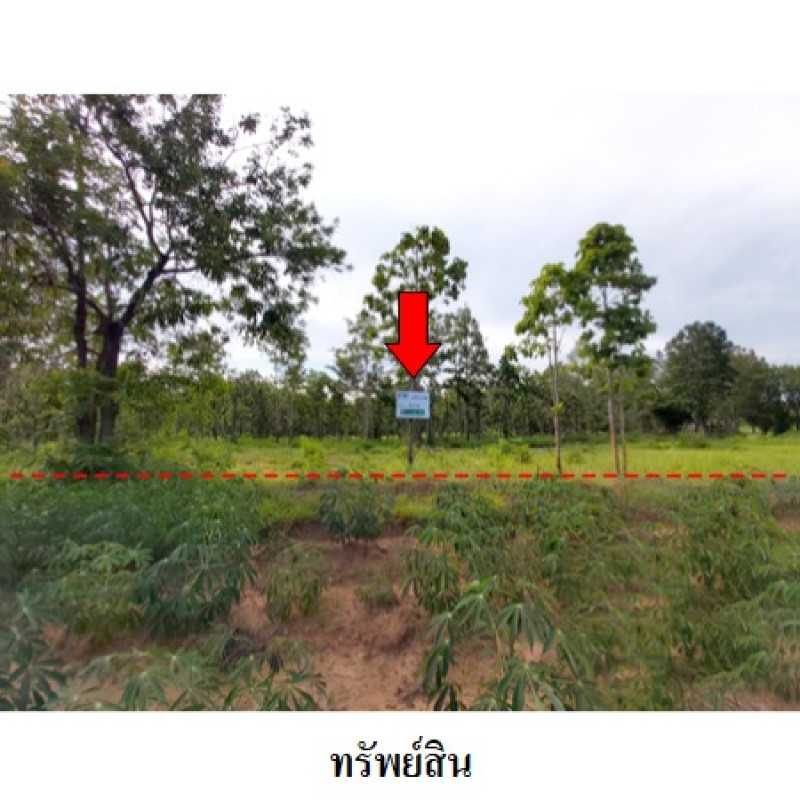 ที่ดินเปล่า ชัยภูมิ เมืองชัยภูมิ รอบเมือง 5628600